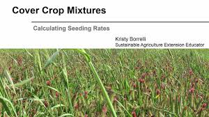 Cover Crop Mixtures Calculating Seeding Rates