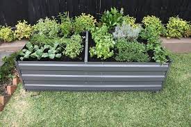 corrugated iron raised garden beds
