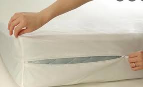 Mattress Covers Encasing For Bed Bugs
