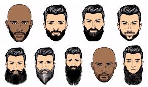 Beard Style Chart Facial Hairstyles