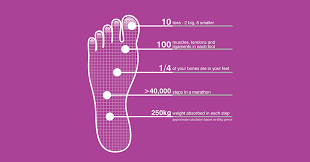 Neurovascular planes of the sole: Foot Facts Body In Motion