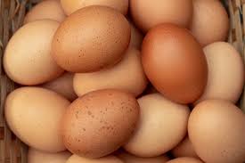 eggs beans pulses remended