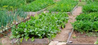 Build Raised Beds For Your Vegetable Garden