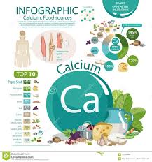 Infographics Of Calcium Content In Food Stock Vector