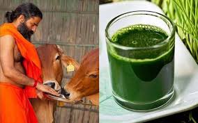 7 Superfoods By Baba Ramdev That Will Keep All Kinds Of