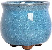 Indoor plant pots are perfect for ﻿displaying flowers and house plants. Blue Ceramic Plant Pots Shop Online And Save Up To 20 Uk Lionshome