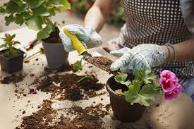 how to make potting soil at home in