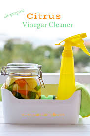 diy all purpose citrus vinegar cleaner