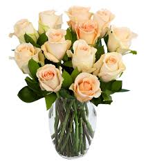 Your coloured peach rose stock images are ready. 12 Peach Roses In A Vase Send To Philippines Roses To Philippines