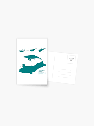Whale Comparison Chart Vs Postcard