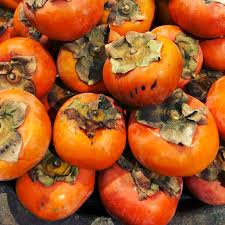 Fuyu Persimmons Information Recipes And Facts