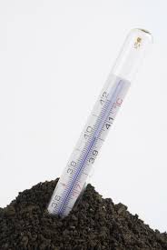 The Importance Of Soil Temperature To Growing Plants