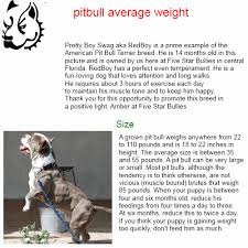 Pitbull Weight Chart Goldenacresdogs Com