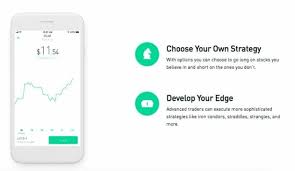 Robinhood charges interest on accounts that trade on margin, so more users would mean more opportunity for margin interest revenue. Robinhood Vs Webull Vs M1 Finance Which Is Best For You
