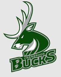 The 1940 logo, featuring the most unintimidating ram you'll ever see. City Of Cranbrook Bchl Expansion Team Cranbrook Bucks To Take To The Ice At Western Financial Place In 2020