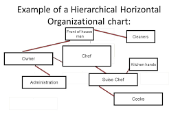 Week 2 Organization Charts There Are Three Different Types