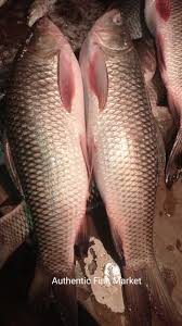 fresh rohu fish র ই ম ছ approx 2kg