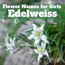 150 flower names for s with