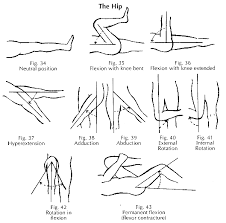 10 Figures Demonstrating Motions Of The Hip Hip Mobility