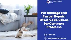 carpet repair and pet damage effective