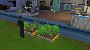 sims 4 guide to gardening painting