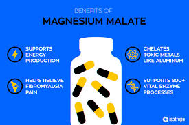 Magnesium Malate Supports Natural Energy Production