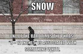 The 20 Funniest Snow Memes Ever | WorldWideInterweb via Relatably.com