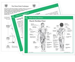 Laminate Muscle Meridian Chart Innersource Store
