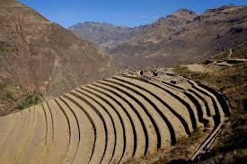 Incan Agriculture In The Sacred Valley Of Cuzco Peru