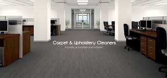 professional carpet cleaners hamilton