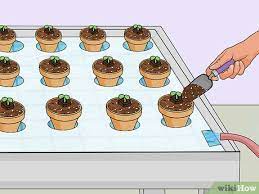 How To Build A Hydroponic Garden With