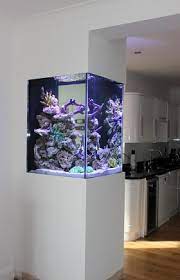 Bespoke Build Wall Aquarium