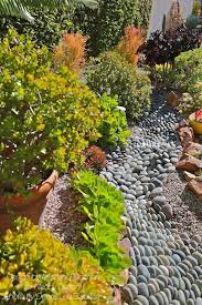 Succulent Garden Design Essentials From