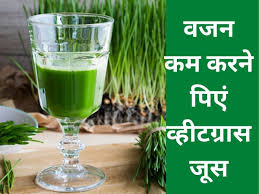 wheat gr juice for health benefits