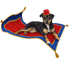 chien dog perro tapis volant