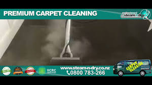 auckland carpet cleaning reviews