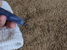 how to remove bleach stains on carpet
