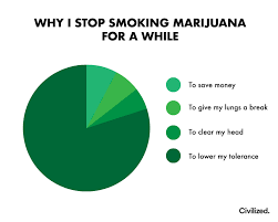 I stopped smoking weed for the last month mostly by accident. Why I Stop Smoking Marijuana For A While Trees