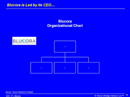 Blucora A Provider Of Financial Services Technology Ppt