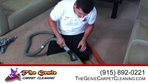 the genie carpet cleaning service