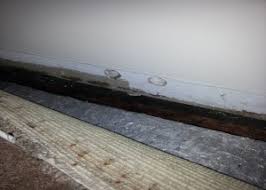 how a mold buster as tenant dealt with