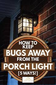 Keep Bugs Away From The Porch Light
