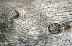 Driftwood Wallpaper Texture