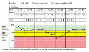 Peak Flow Meter Zone Chart Www Bedowntowndaytona Com