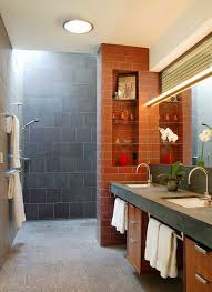 doorless shower designs teach you how