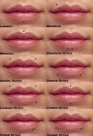 Beautiful Examples Of Lip Piercings Piercings Lip