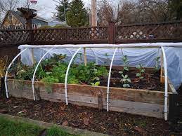 raised garden bed with greenhouse top