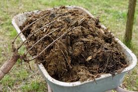 Why Do We Add Manure To Plants