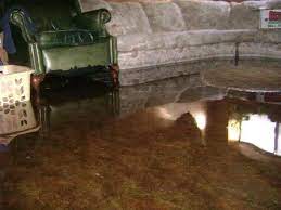 flooded basement act fast