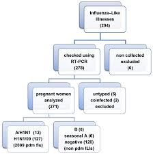 Flow Chart Of Pregnant Women With Flu Symptoms Maternity